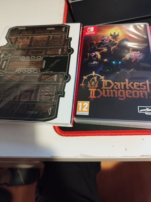 Darkest dungeon 2 switch