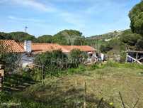 Quintinha com 6723m2 em Santiago do Cacém
