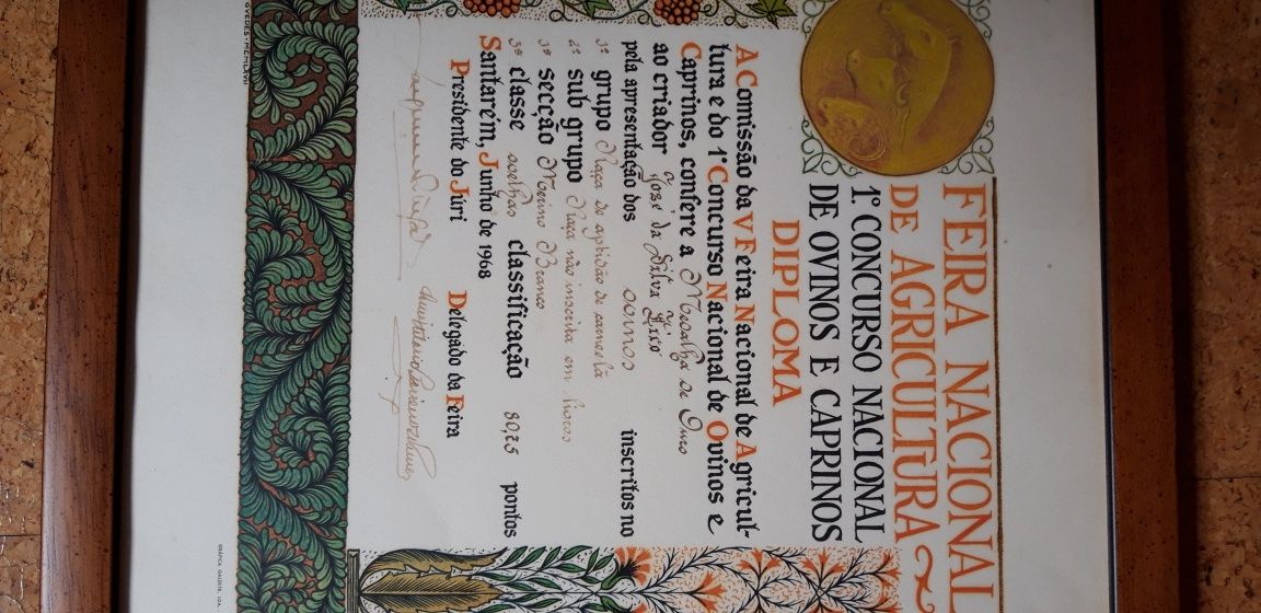 Diploma Feira Nacional Agricultura 1968