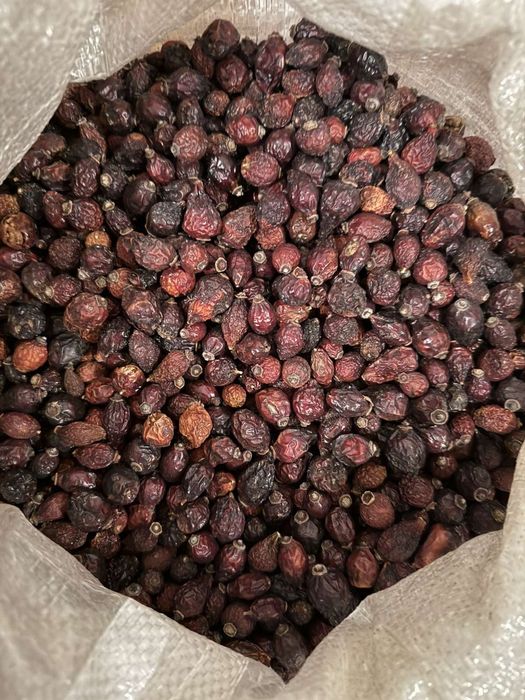 Гарбузова семічка.Голосимянка.Семіка подсолнуха.Шиповнік