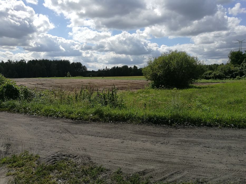 Działka rolna, 1,36 hektara Wólka Wybraniecka