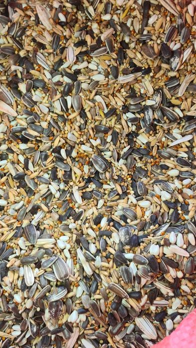 Mieszanka dla papug średnich,,lux" (W) 20 kg 85 zł