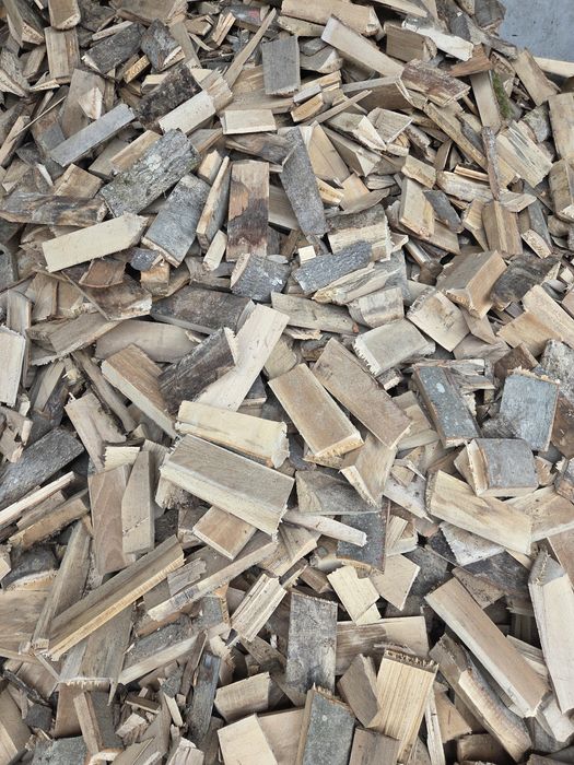 Opał bukowy jak gałęziówka buk