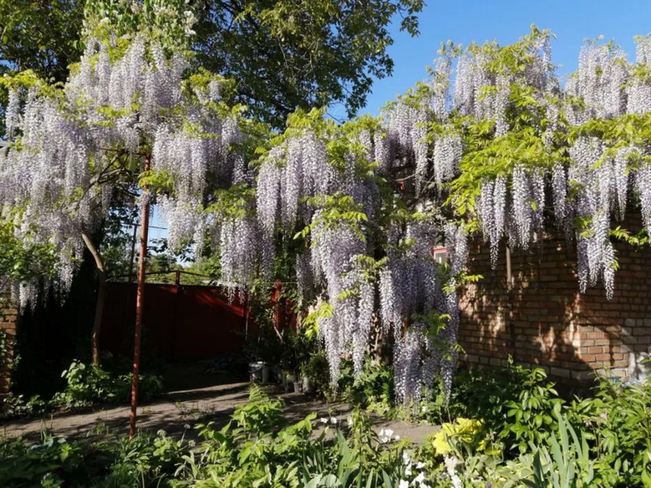 Продам будинок з ексклюзивною земельною ділянкою в центрі міста.