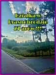 Niepowtarzalna okazja !!! Działka w Krasnobrodzie