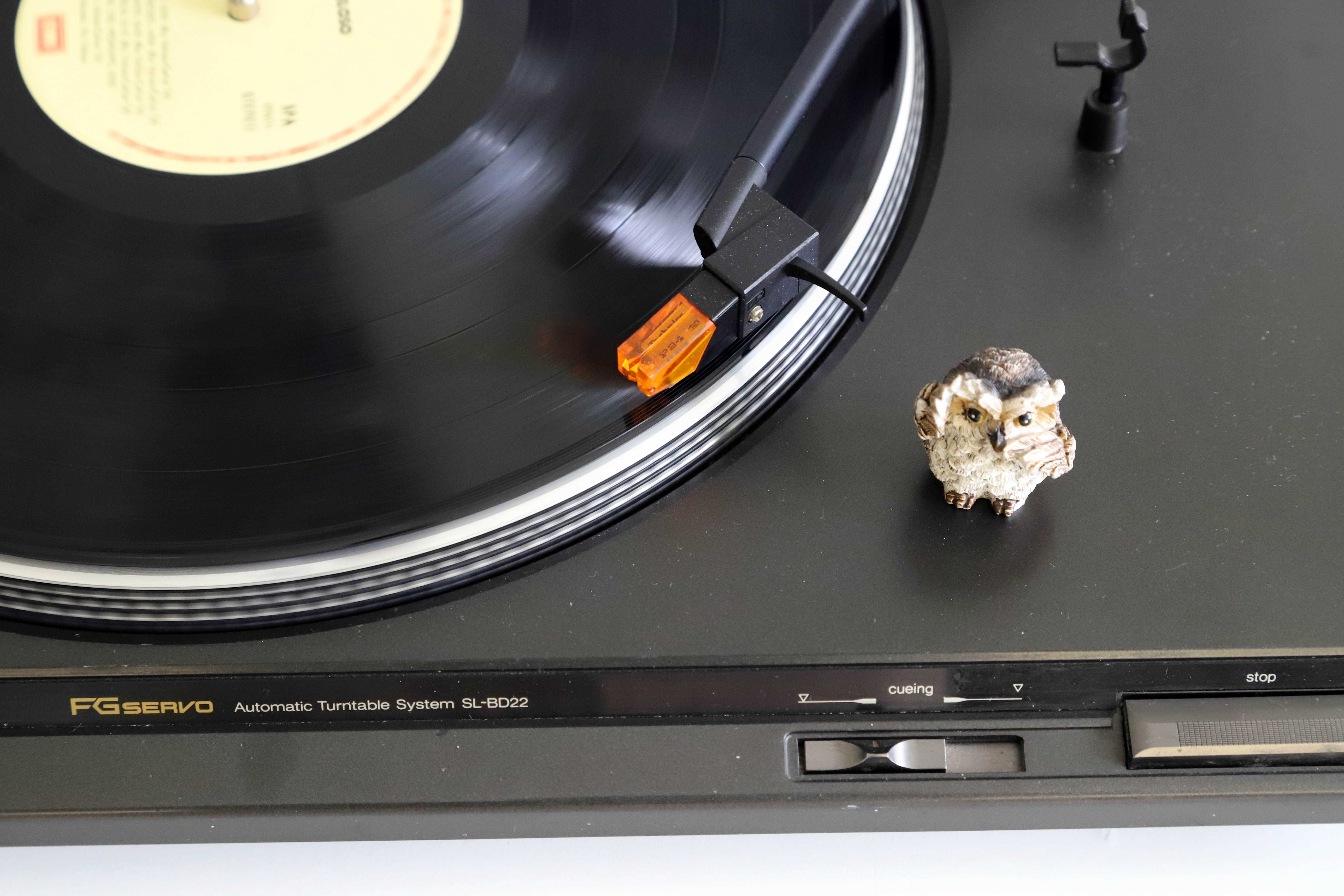 Technics SL-BD22 Gira discos
