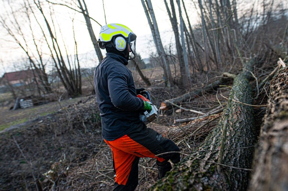 Wycinka i przycinka drzew , krzewów i opryski
