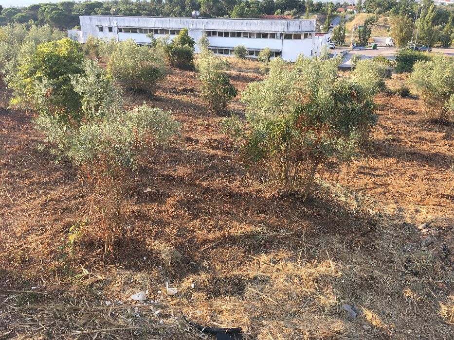 Terreno Urbano em Coimbra (junto ao Forúm Coimbra)