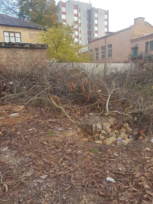 Продам гілля з дерев  на переробку .,паливну щіпу .