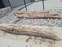 Słupy 3m drewno akacja na plac zabaw