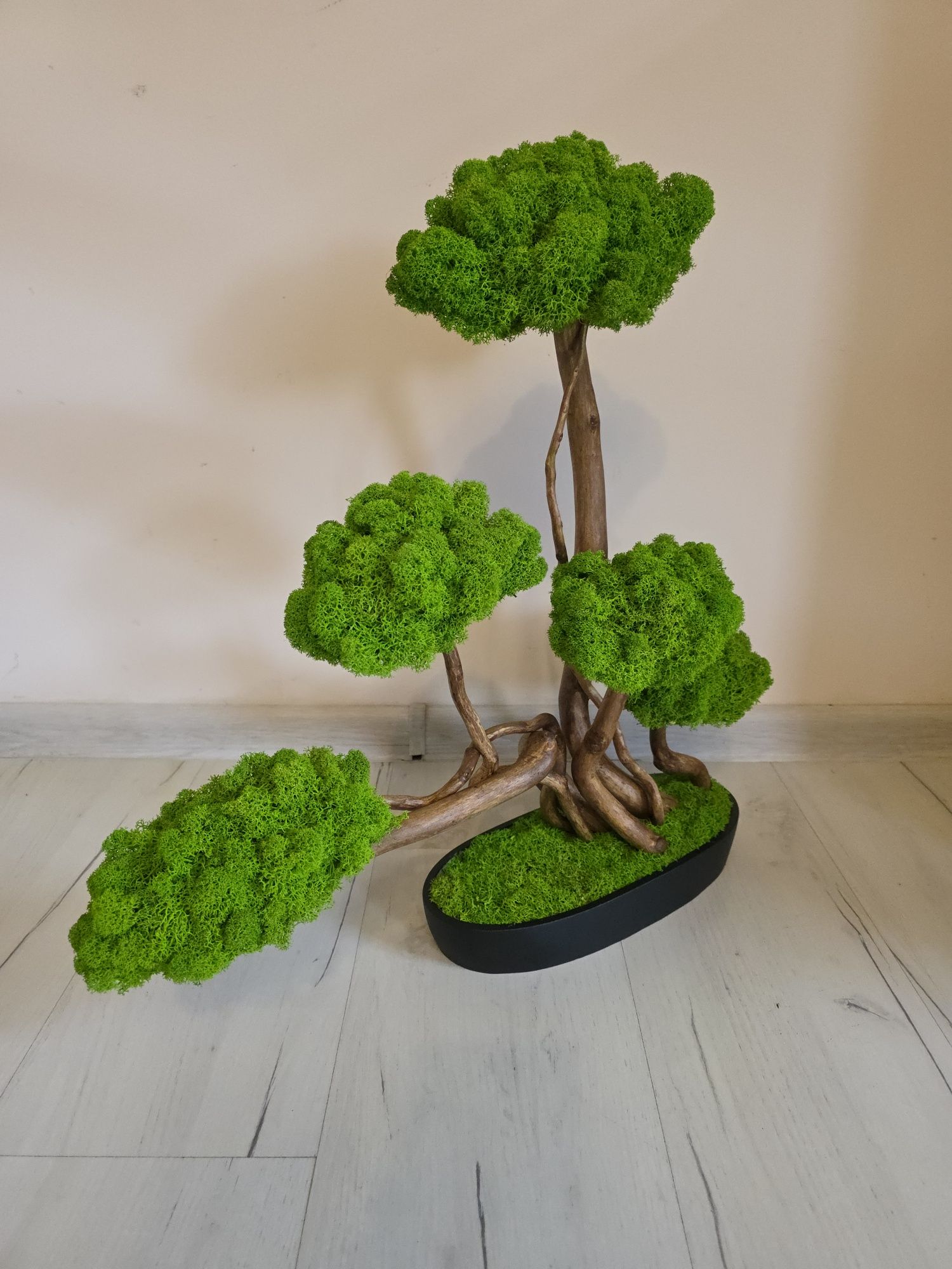 Drzewko bonsai Duże 50 cm.Mech Chrobotek. Dekoracje wnętrz. Prezent .