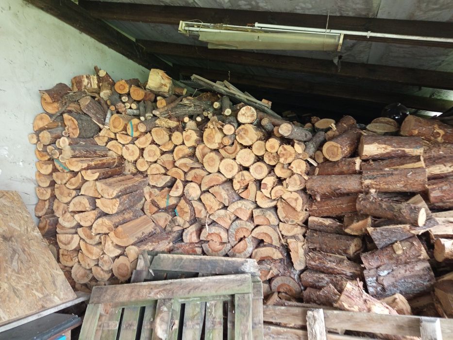 Drewno opałowe sosnowe