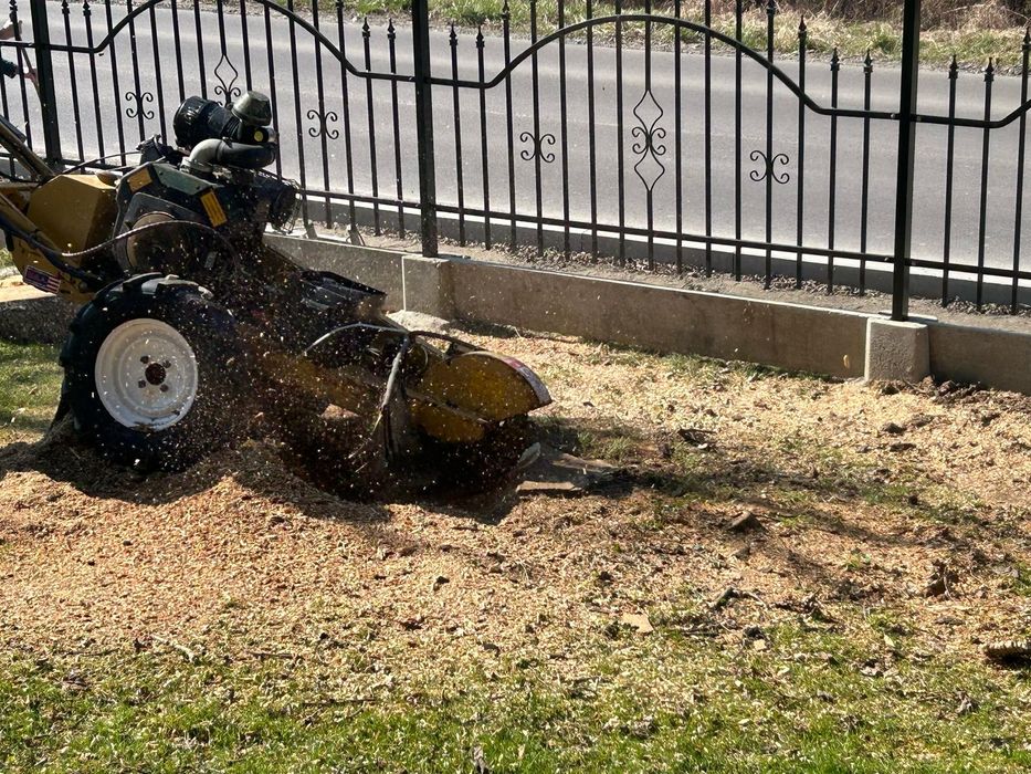 Wycinka drzew , pielęgnacja ogrodów ,koszenie traw