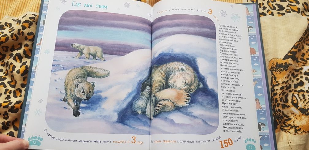 Книга "Я белый медведь" большого формата твердая обложка на русском