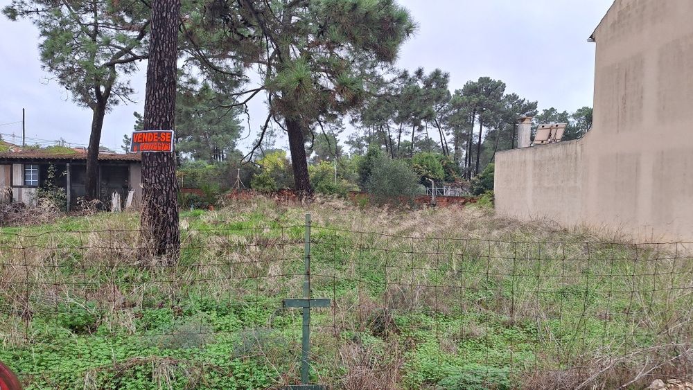 Terreno legalizado