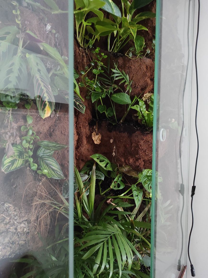 Sprzedam vivarium/terrarium