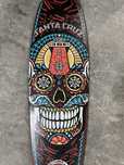 Longboard Santa Cruz