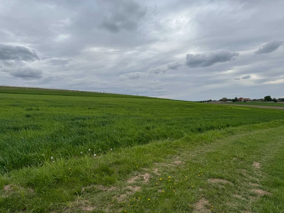 Продаж земельної ділянки с. Колоденка