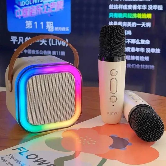 Портативне Караокео Bluetooth Колонка для яскравих вечірок і співу