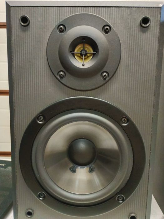 Kolumny, monitory SONY 100 WAT