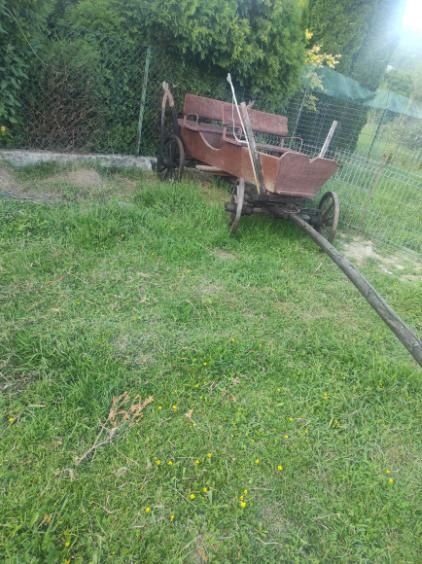 Bryczka dla kuca