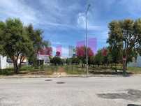 Lotes - Carrasqueira, Sesimbra