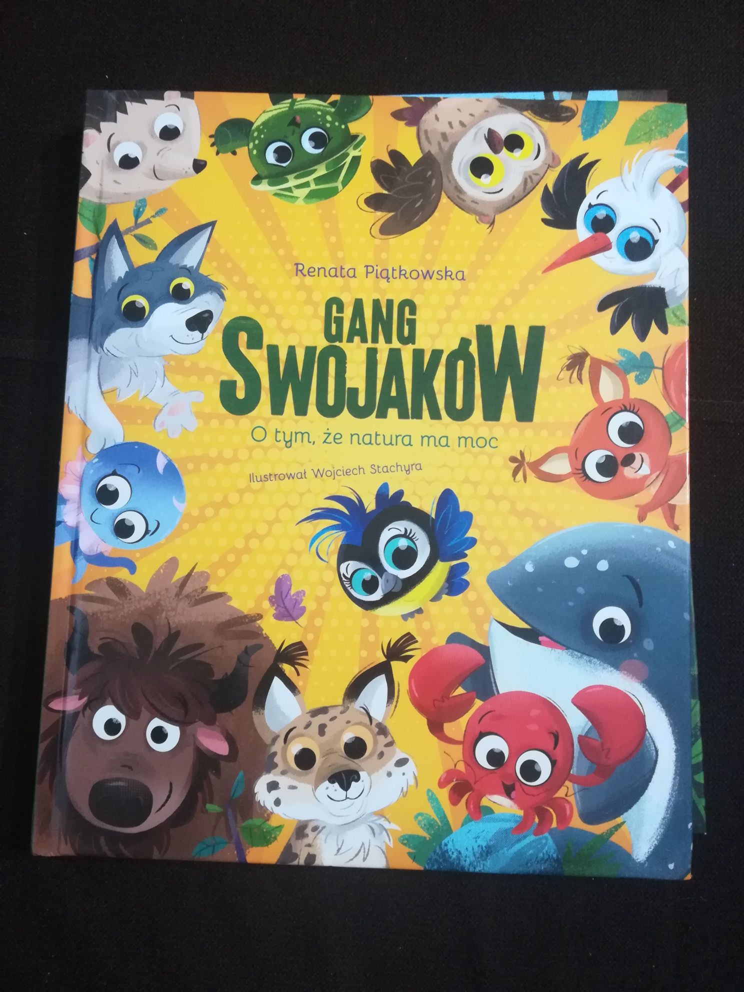 książka Gang Swojaków biedronka