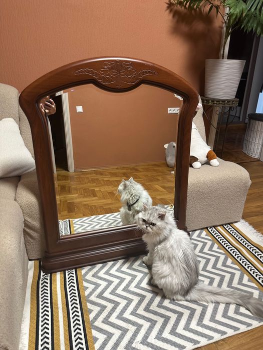 Дзеркало б/у можна ставити або вішати