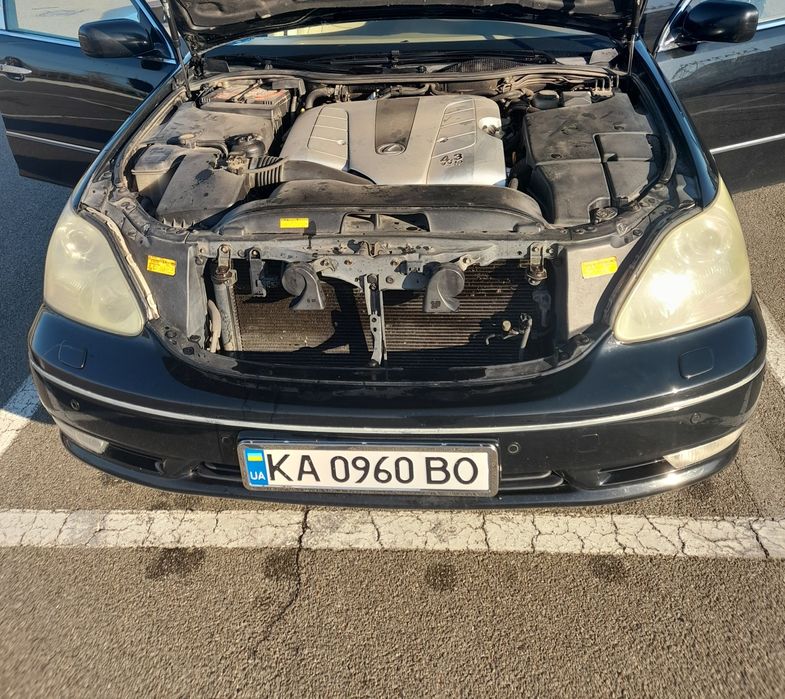 Продам "японського кабана"