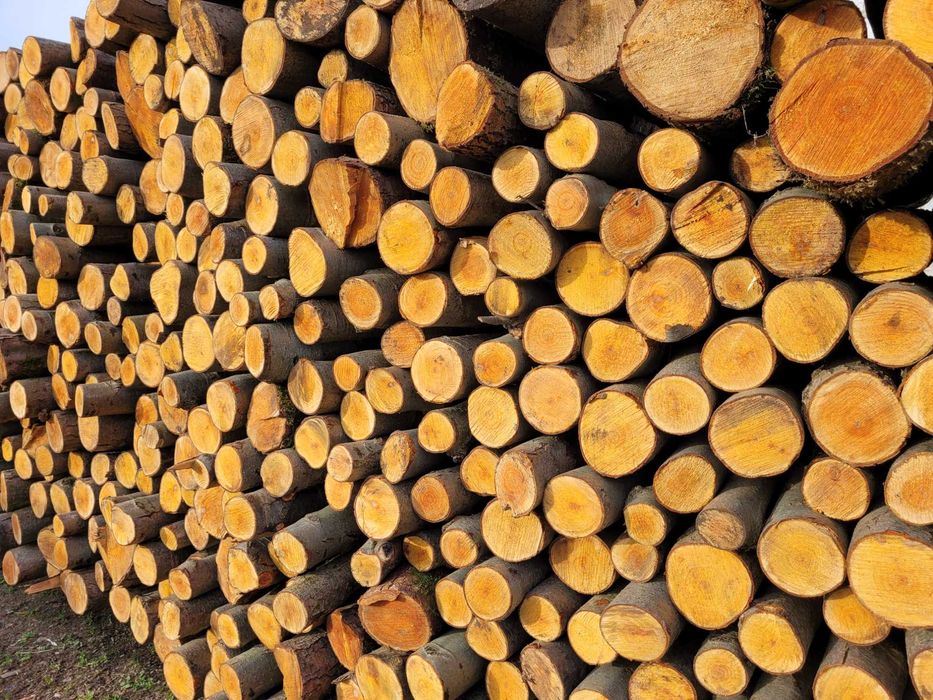 drewno: sosna, olcha