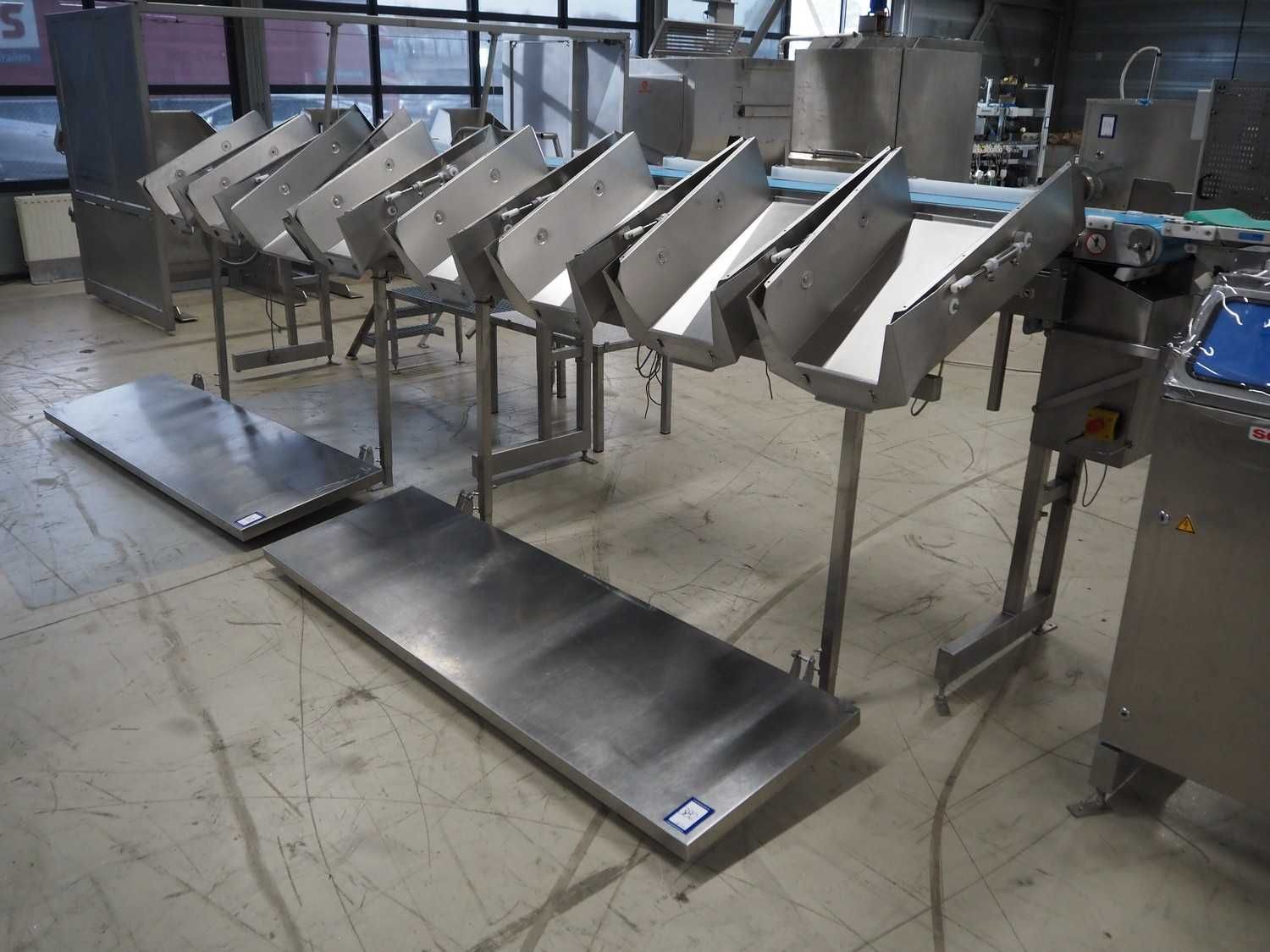 Classificadora Marel Scanvaegt grader 7100