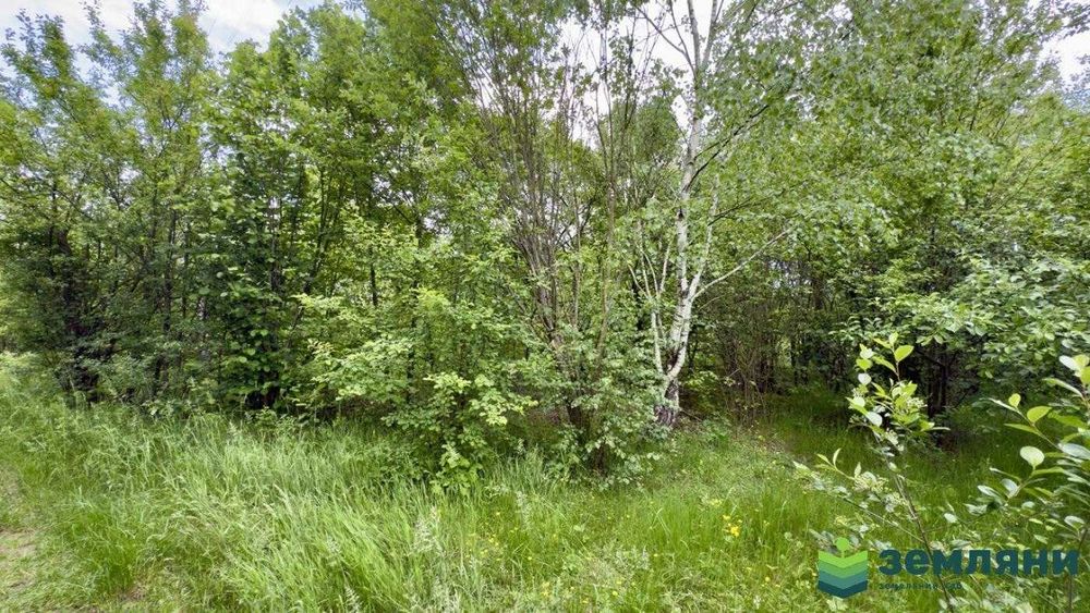 Продається земельна ділянка с.Братківці (7)