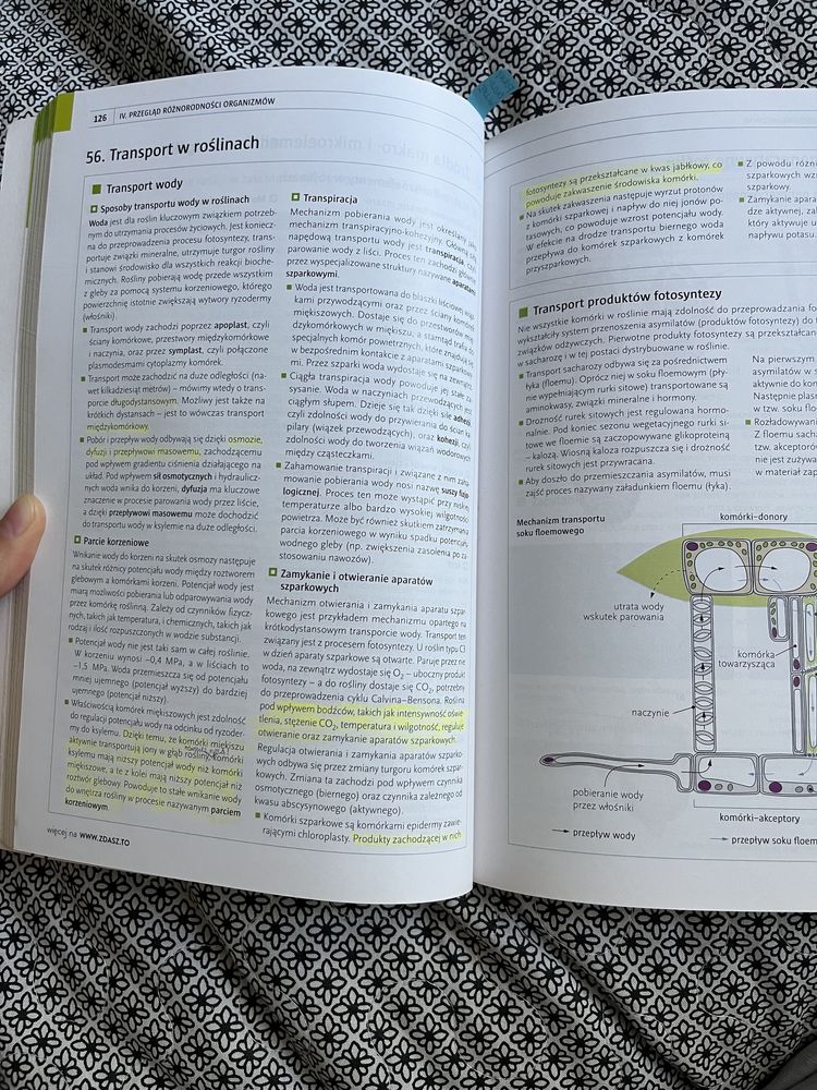 Repetytorium Biologia WSiP