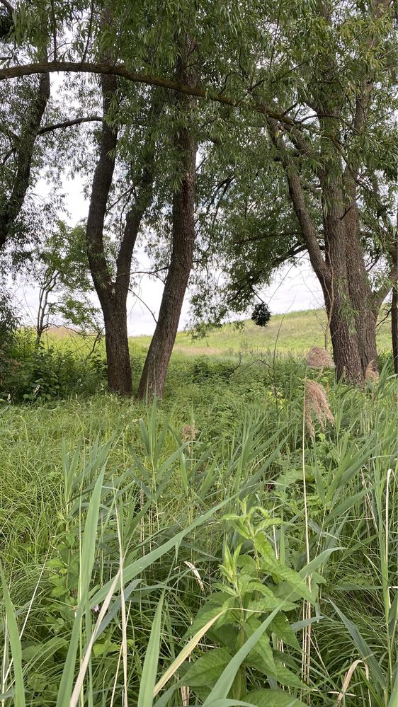 Будинок біля води, Обухів р-н с. Красне Перше/Козіївка