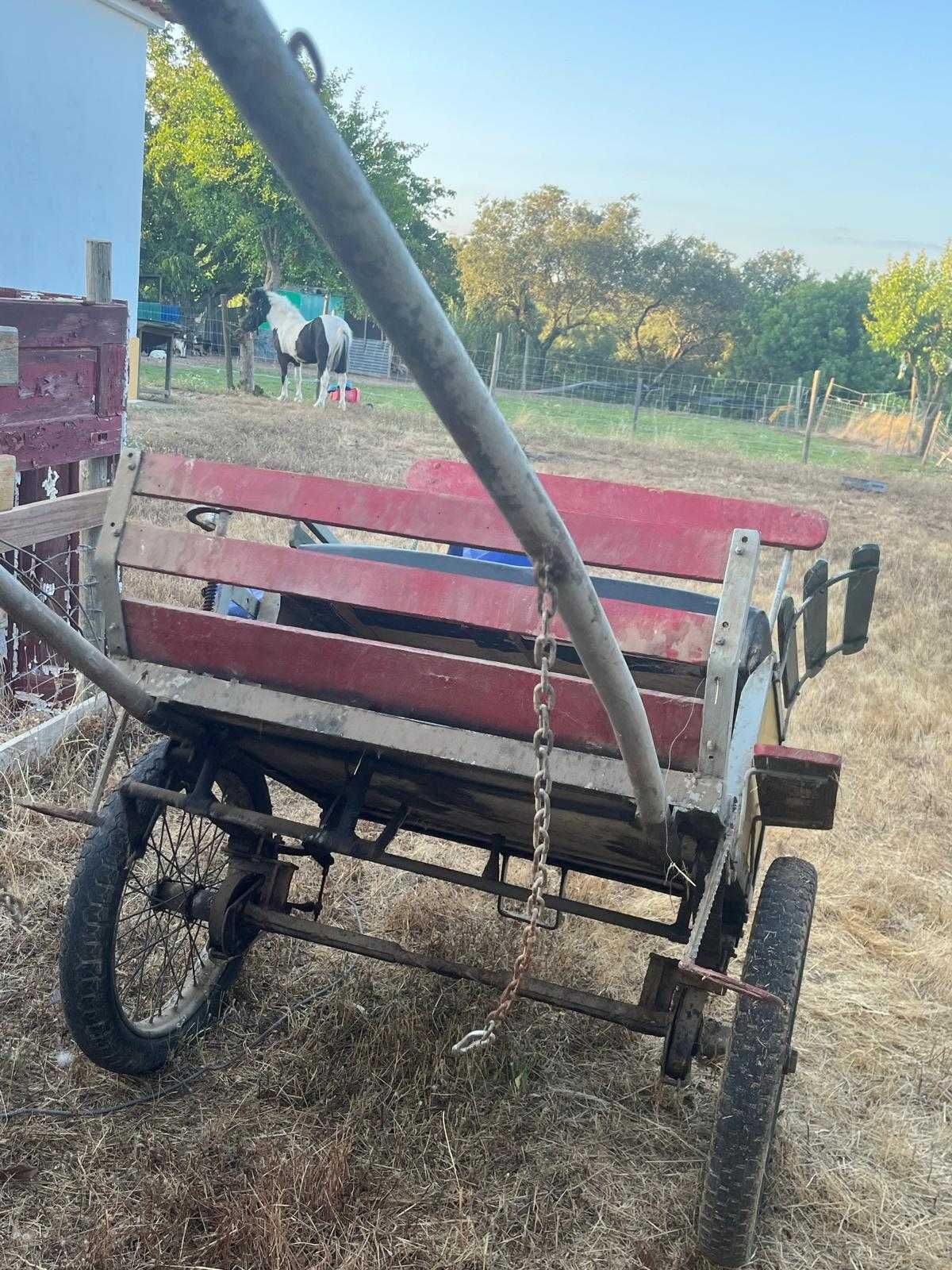 Troco pónei e charrete por motorizada ou cavalo/Egua