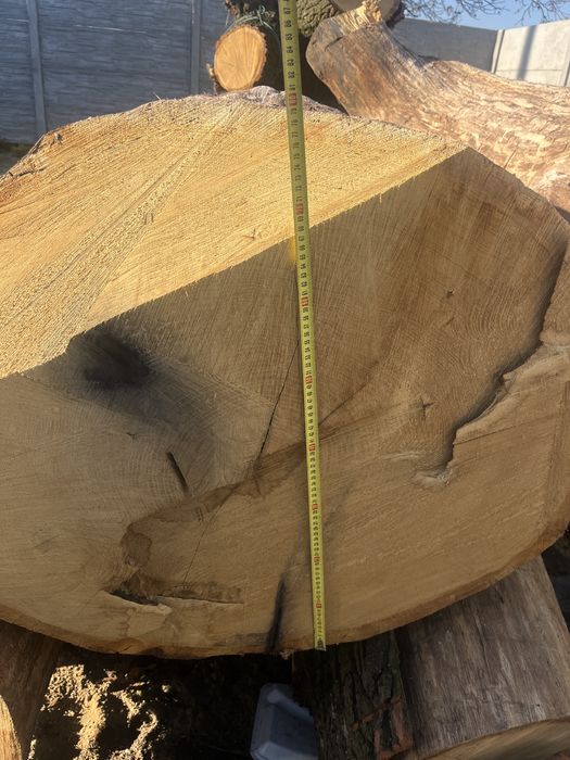 Sprzedam dąb kłody