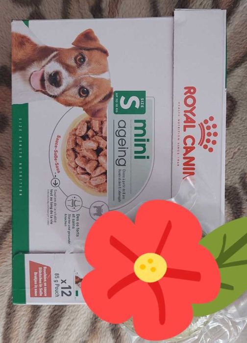 Mokra karma dla psa Royal canin mini ageing 12szt
