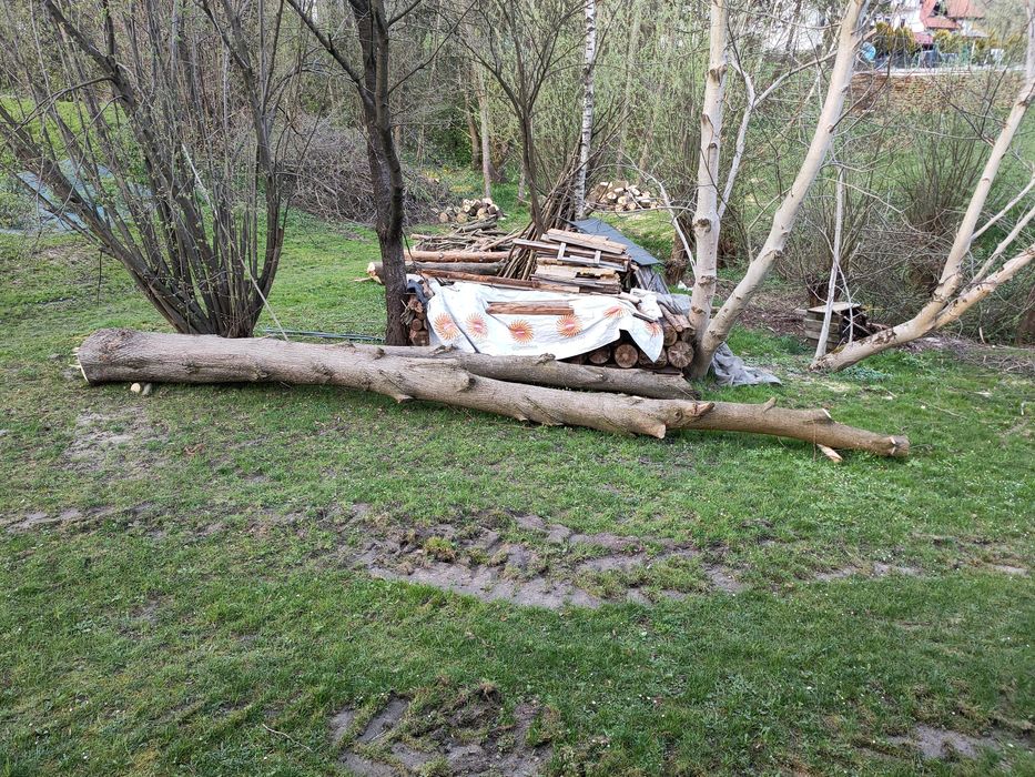 Sprzedam drewno - lipa