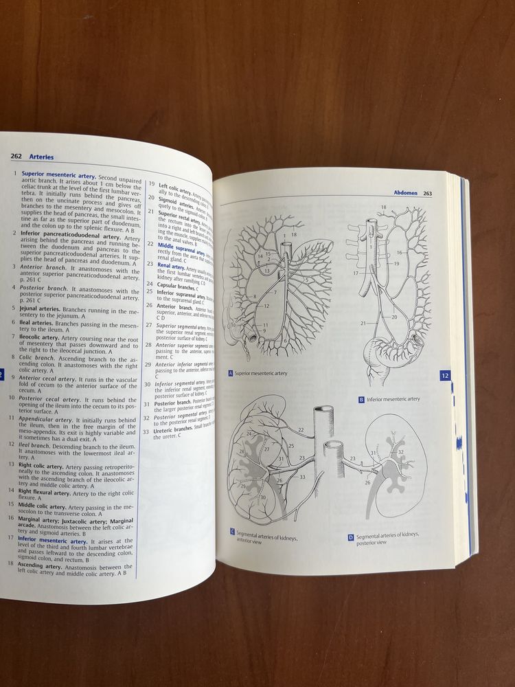 Podręczny atlas anatomii Feneis