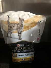 Comida para gato com insuficiência renal