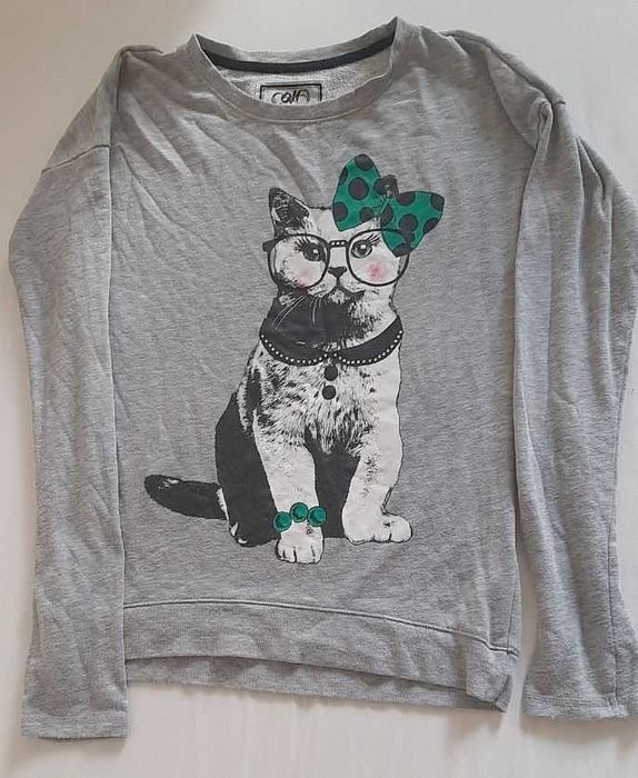 Светр, светрик, толстовка, толстовка з принтом кицьки