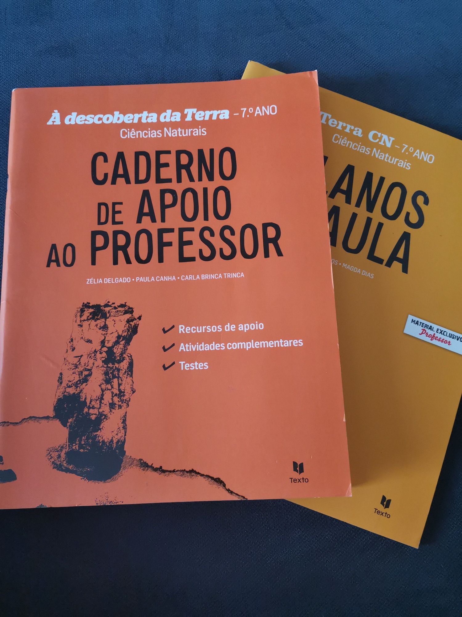 Caderno de apoio ao estudo, ao professor