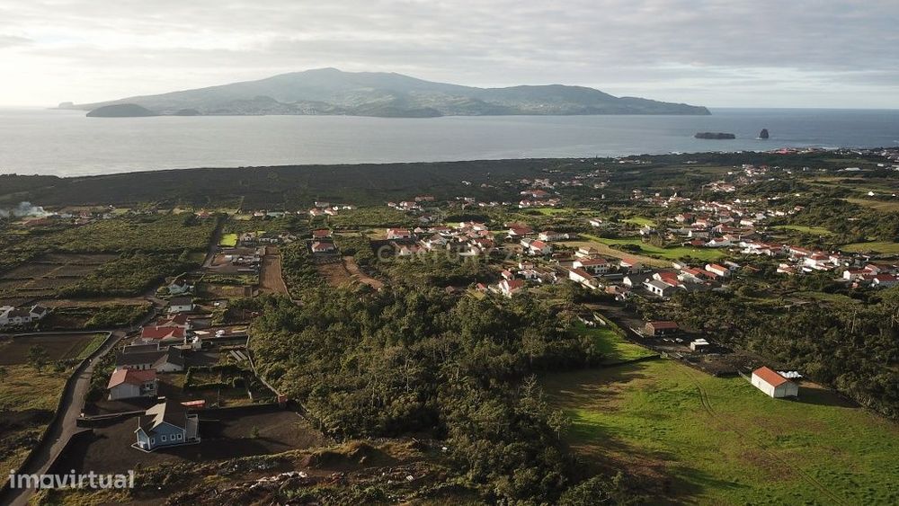 Terreno, Criação Velha