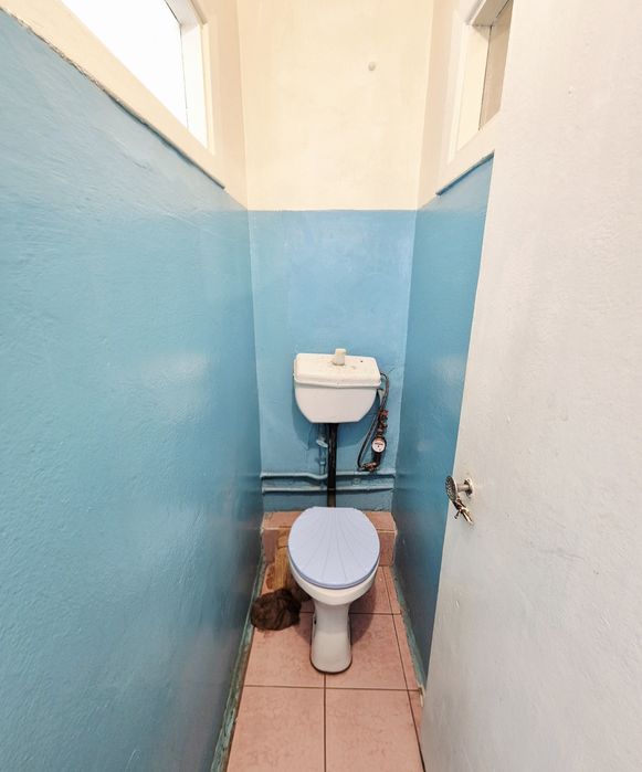 2-х кім чешка передмістя Житомира смт Новогуйвинськ