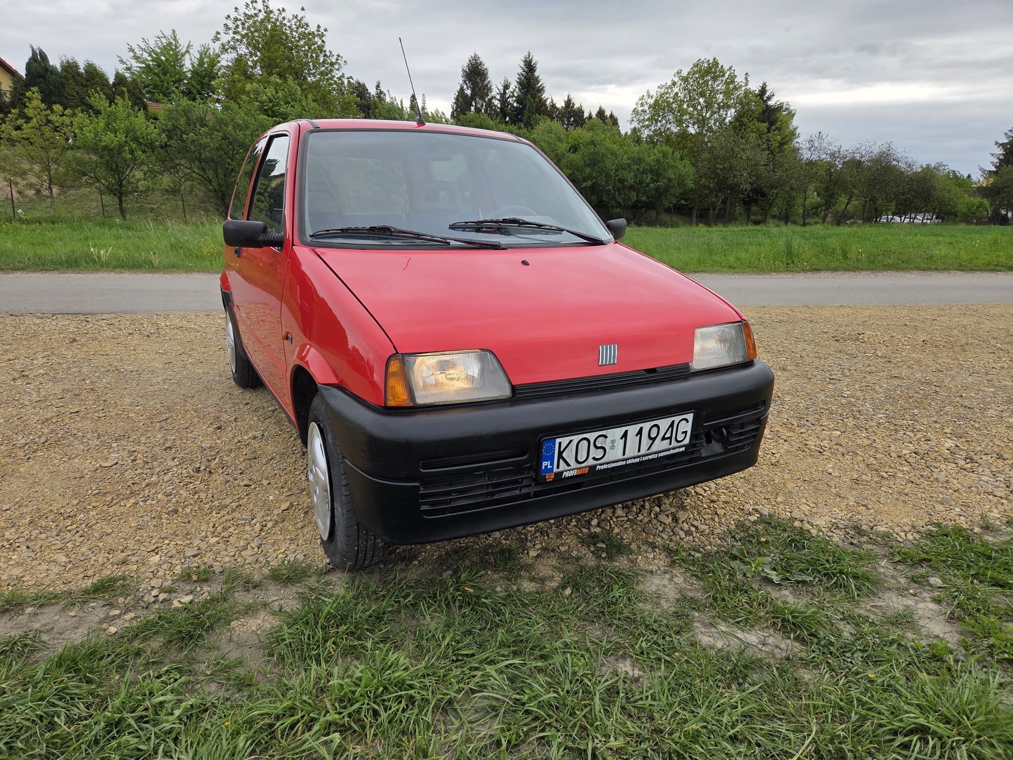 Cinquecento stab bdb. Igła