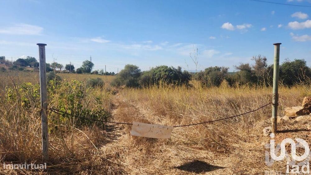 Terreno Agrícola em Algoz e Tunes