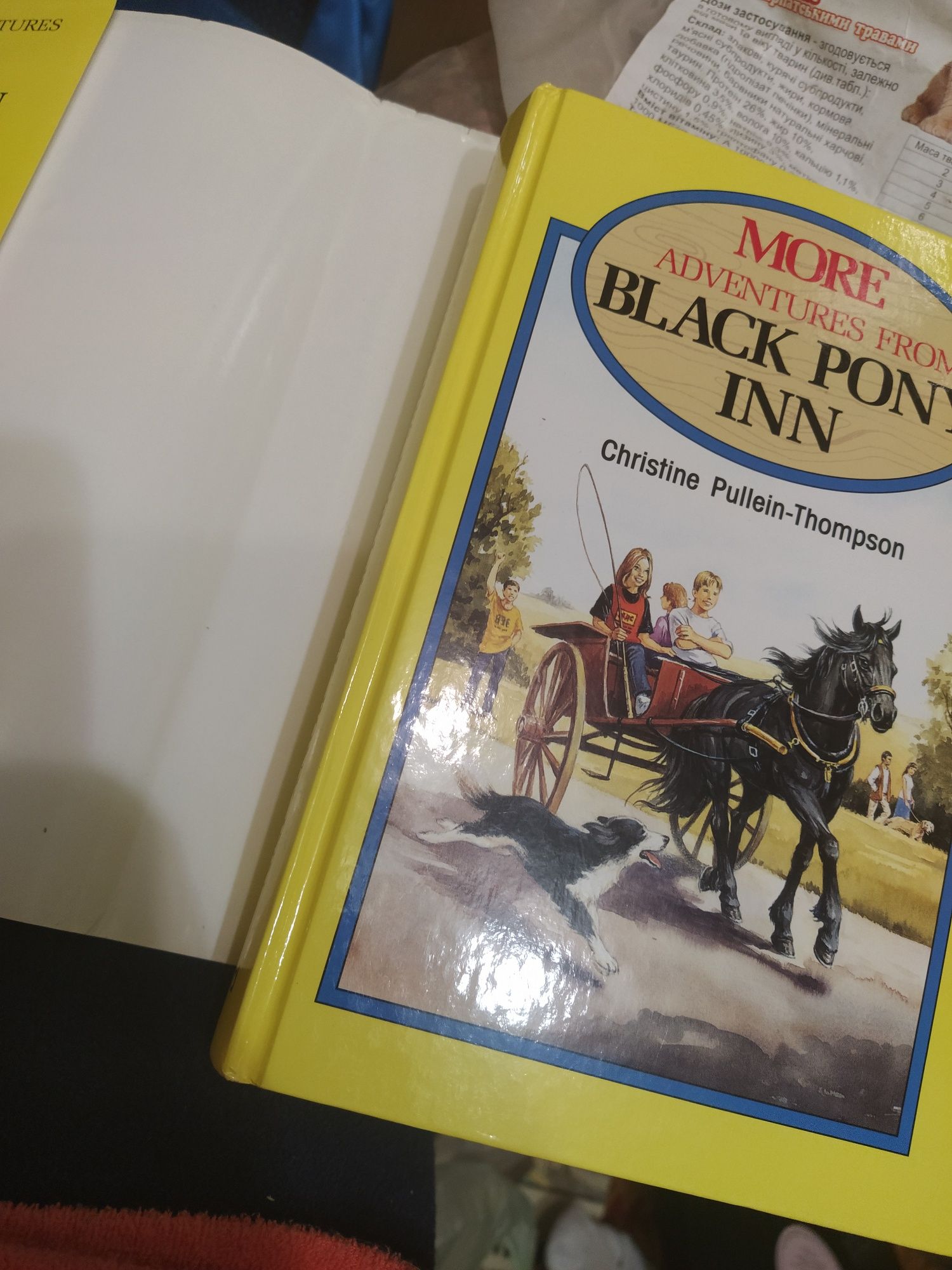 Книга More adventure from Black Pony Inn