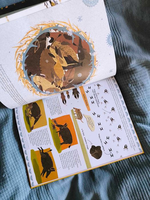 Dzika książka o dzikach i o ich kuzynach, NK, 6+