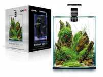 Aquael Shrimp Set Day&Night 30 czarny LED zestaw akwarium