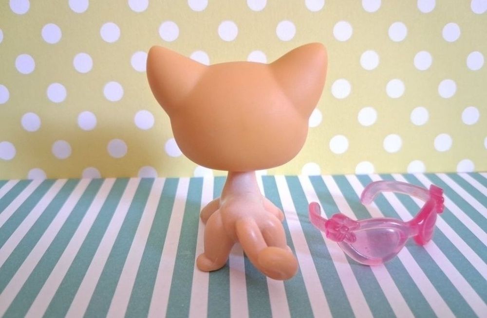 Littlest Pet Shop LPS unikatowy kot Shorthair #72 pop